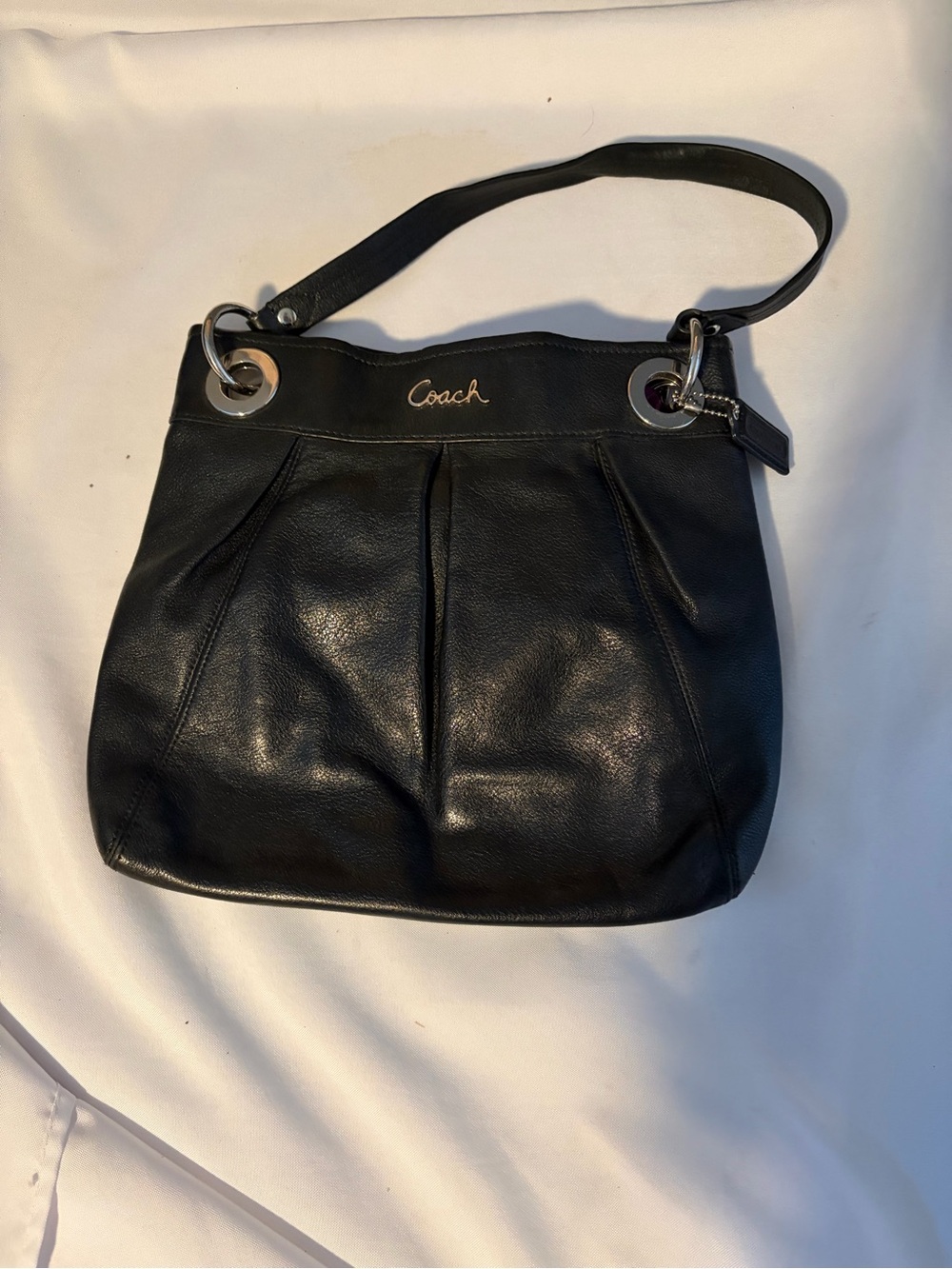 Coach Ashley Hippie Pleated Leather Shoulder Bag 17605